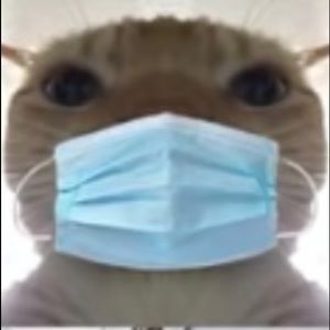 Meet your Posher, Angel